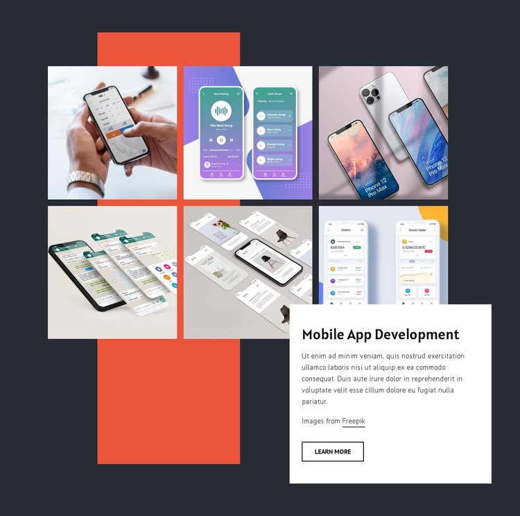 Portfolio Item